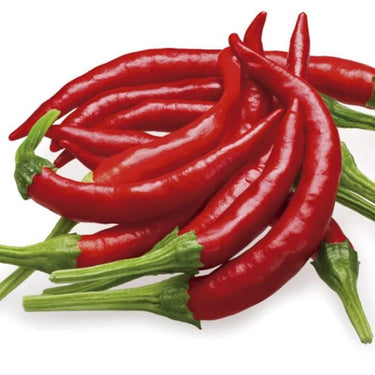 Chile De Arbol Pepper Seeds - The Pepper Pantry (Formerly Marie Sharp's)